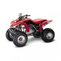 Honda TRX 250 EX