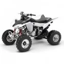 Honda TRX 400 - 2008