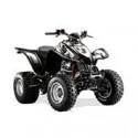 Kymco KXR 250