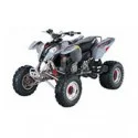 Polaris Predator 500